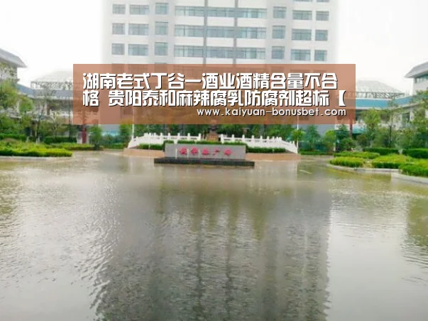 开元入口